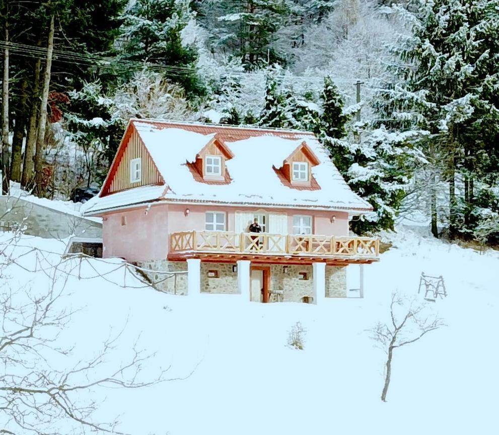 Kopanicky Dvor Guest House Hodruša Exterior foto